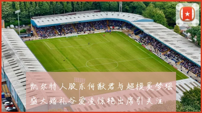 凯尔特人股东何猷君与超模奚梦瑶盛大婚礼谷爱凌惊艳出席引关注
