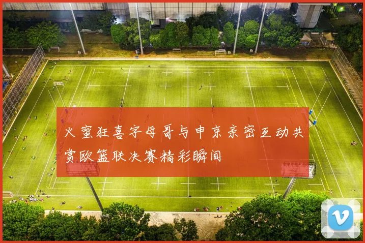 火蜜狂喜字母哥与申京亲密互动共赏欧篮联决赛精彩瞬间